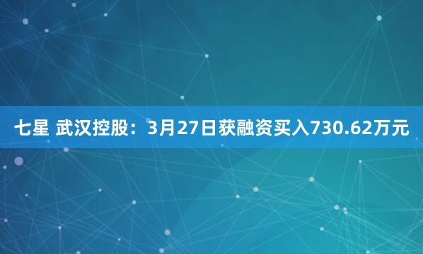 七星 武汉控股：3月27日获融资买入730.62万元
