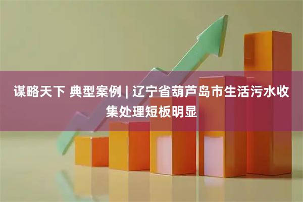 谋略天下 典型案例 | 辽宁省葫芦岛市生活污水收集处理短板明显