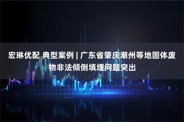 宏琳优配 典型案例 | 广东省肇庆潮州等地固体废物非法倾倒填埋问题突出