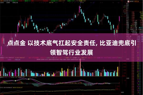 点点金 以技术底气扛起安全责任, 比亚迪兜底引领智驾行业发展