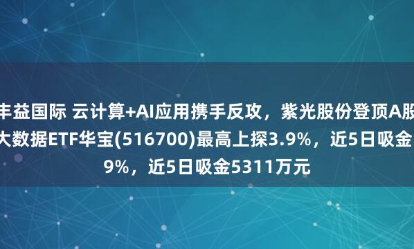 丰益国际 云计算+AI应用携手反攻，紫光股份登顶A股吸金榜！大数据ETF华宝(516700)最高上探3.9%，近5日吸金5311万元