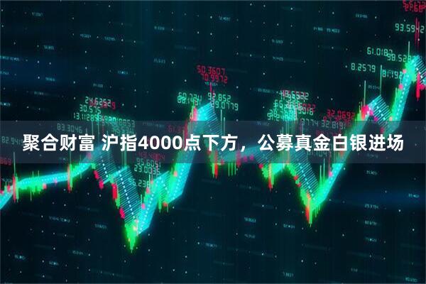 聚合财富 沪指4000点下方，公募真金白银进场