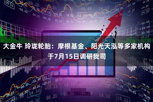 大金牛 玲珑轮胎：摩根基金、阳光天泓等多家机构于7月15日调研我司